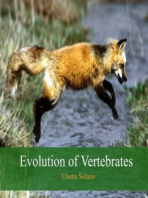 cover image of Evolution of Vertebrates